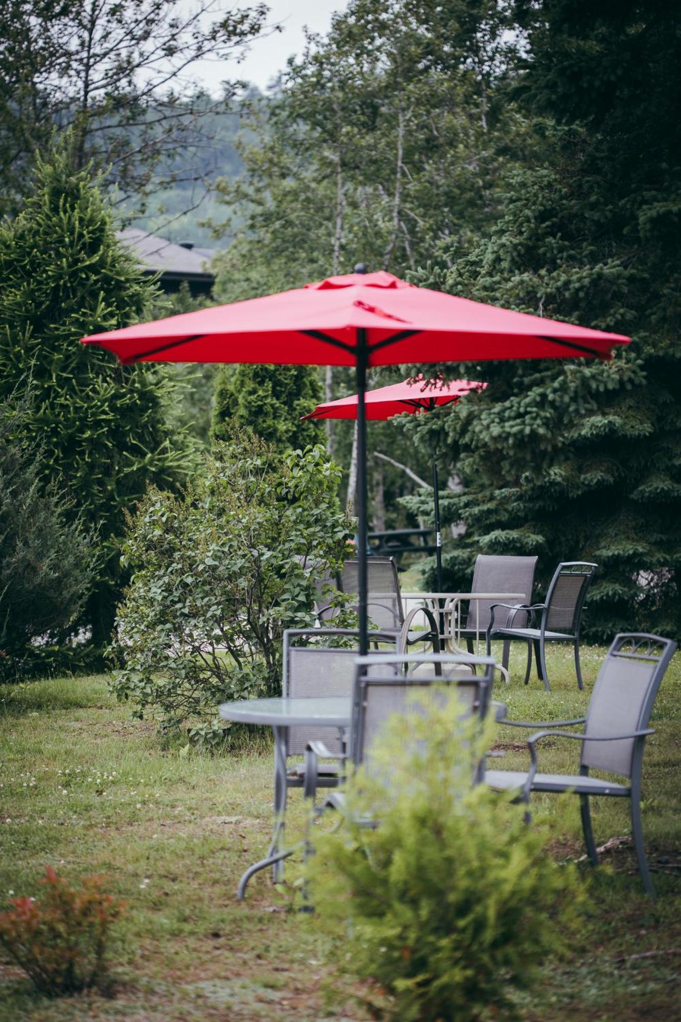 Motel Des Cascades Baie-Saint-Paul Εξωτερικό φωτογραφία